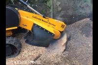 Boomstronk verwijderen met stobbenfrees