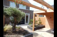 Achtertuin met overkapping