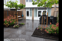 Tuinaanleg met sierbestrating, borders en dakplatanen