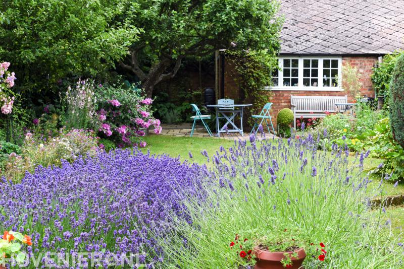 Beekmans Hoveniersbedrijf