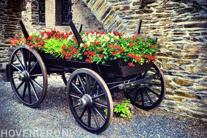 Hoveniersbedrijf Bloemendal