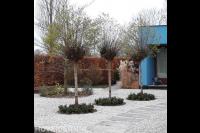 Tuin met strakke vormen en grind