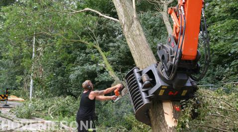 Boom verwijderen met kettingzaak en kraan