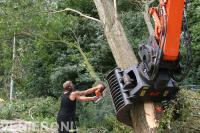 Boom verwijderen met kettingzaak en kraan
