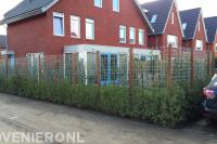 Tuinafscheiding met haagplanten en hedera schutting