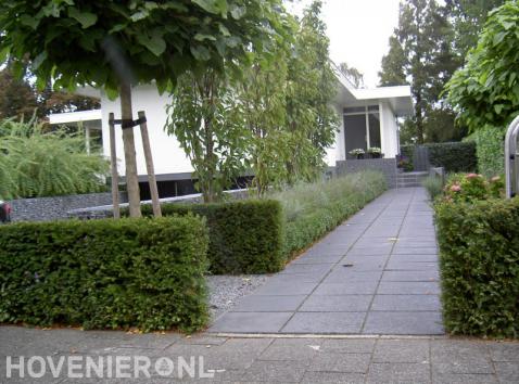 Moderne tuin met schanskorven, bolcatalpa's, siergras, taxus en buxus