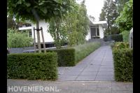 Moderne tuin met schanskorven, bolcatalpa's, siergras, taxus en buxus