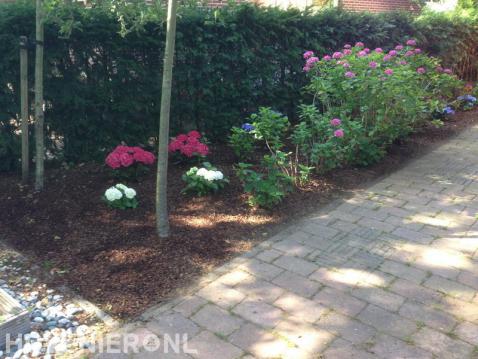 Border met kleurrijke planten en bodembedekking