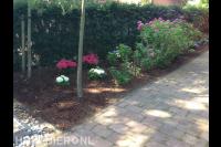 Border met kleurrijke planten en bodembedekking