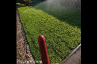 Leroy's Tuinonderhoud