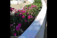 Organische verhoogde border gestuct