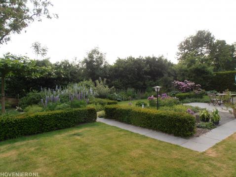 Groene landelijke tuin met kleurrijke beplanting 2