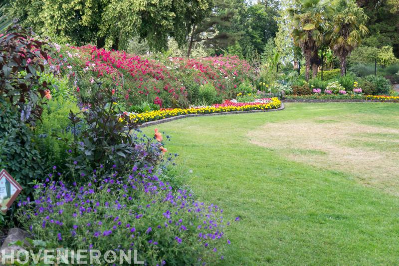 Hoveniersbedrijf Jouw Tuin