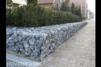 Schanskorf met daarachter een taxushaag