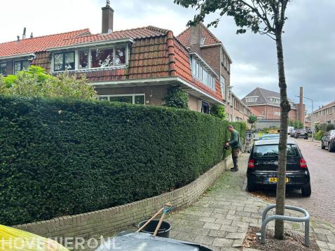 Tuinonderhoud in Dordrecht