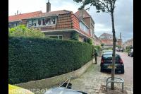 Tuinonderhoud in Dordrecht
