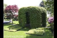 Grote pergola overgroeit met klimplanten
