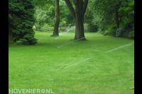 Gazon met sprinklers
