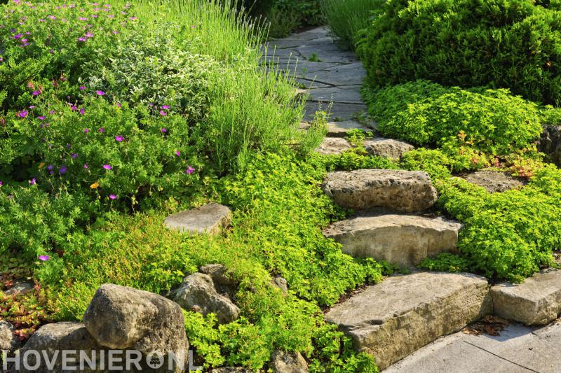 Plaatsman Planten Service