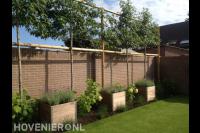 Leibomen en houten plantenbakken