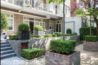 Verhoogd terras met buxus en bloembakken met buxusbollen