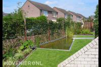 Tuinaanleg met vijver, gazon en hedera schutting