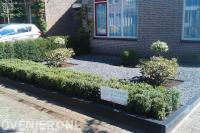 Onderhoudsvriendelijke voortuin met split en buxus 1