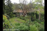 Landschappelijke tuin met gazon en veel groen