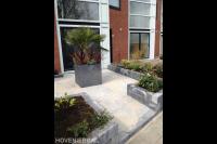 Strakke voortuin met palmboom in plantenbak