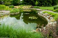 Grote heldere vijver met ronde vormen