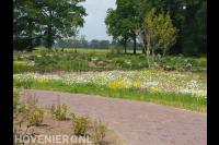 Ecologische tuin met veel bloemen en vijver