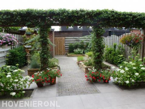 Pergola begroeid met klimop