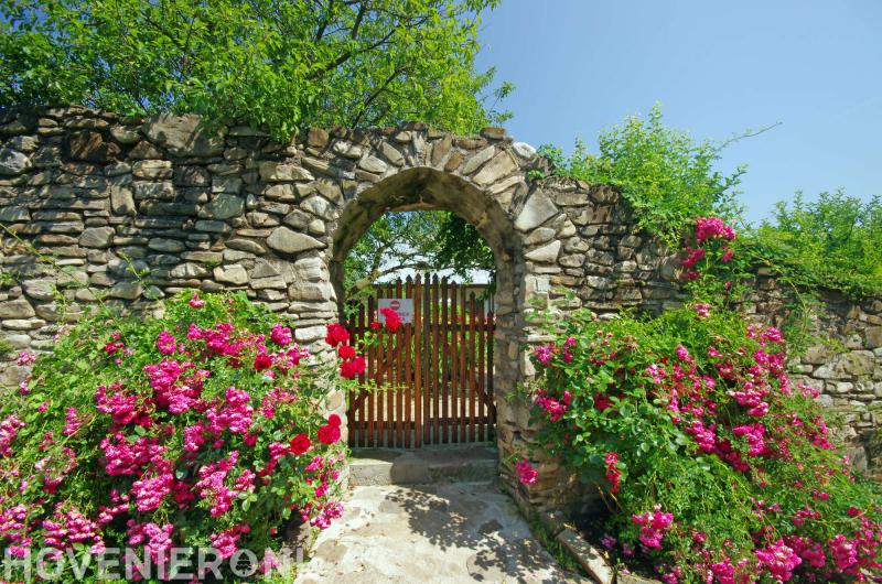 Tuinstudio Jempy van der Veeken