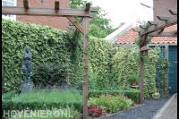 Tuin met houten pergola's en schutting met klimop