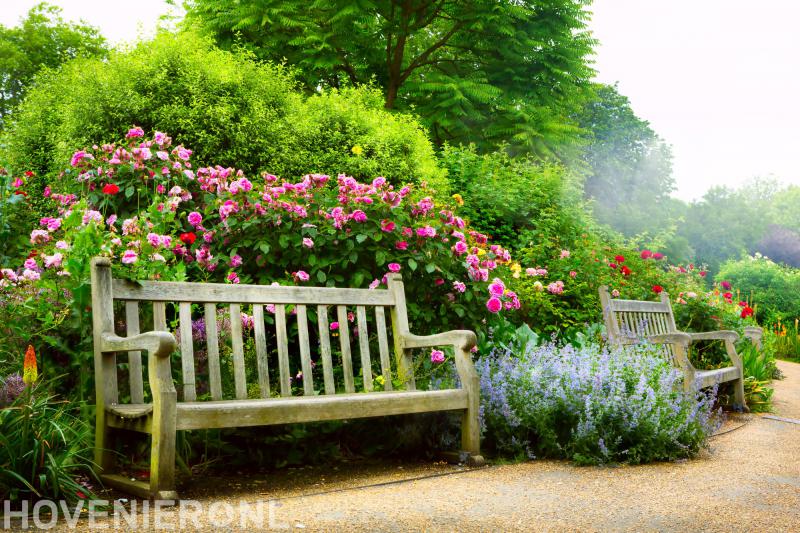 Den Bogert Hoveniers