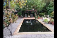 Vijver met houten vlonder