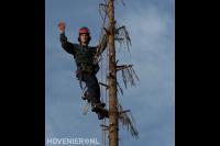Boom kappen door gebruik te maken van klimtechnieken 1