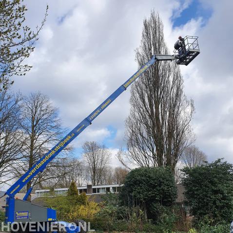 Boom snoeien met inzet van hoogwerker