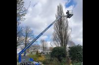 Boom snoeien met inzet van hoogwerker