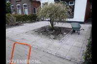 Voortuin bestraten met klinkers en betontegels