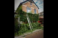 Snoeiwerkzaamheden gevel