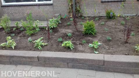 Nieuwe beplanting in border