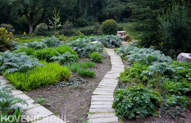 Heijden Tuinontwikkelaar