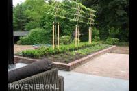 Border met leibomen en buxus