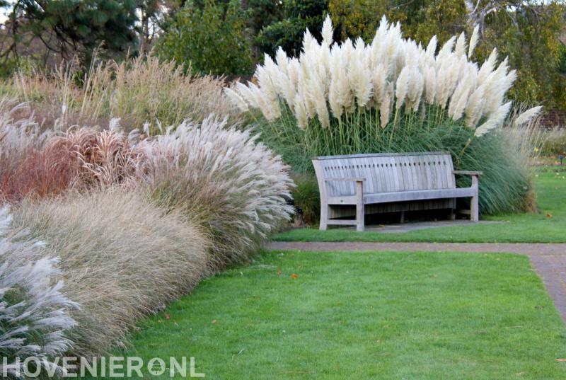 Hoveniersbedrijf de Korenbloem