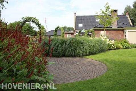 Border met siergras en hortensia's bij gazon