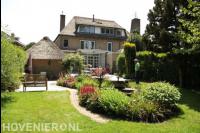 Achtertuin met veel groen