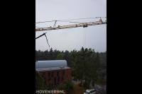 Wiegersma Boomverzorging