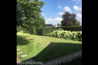 Onderhoud van tuin met gazon, hagen en hortensia's