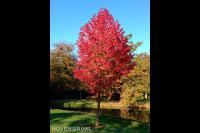 Berends Tuin en Landschapsbouw